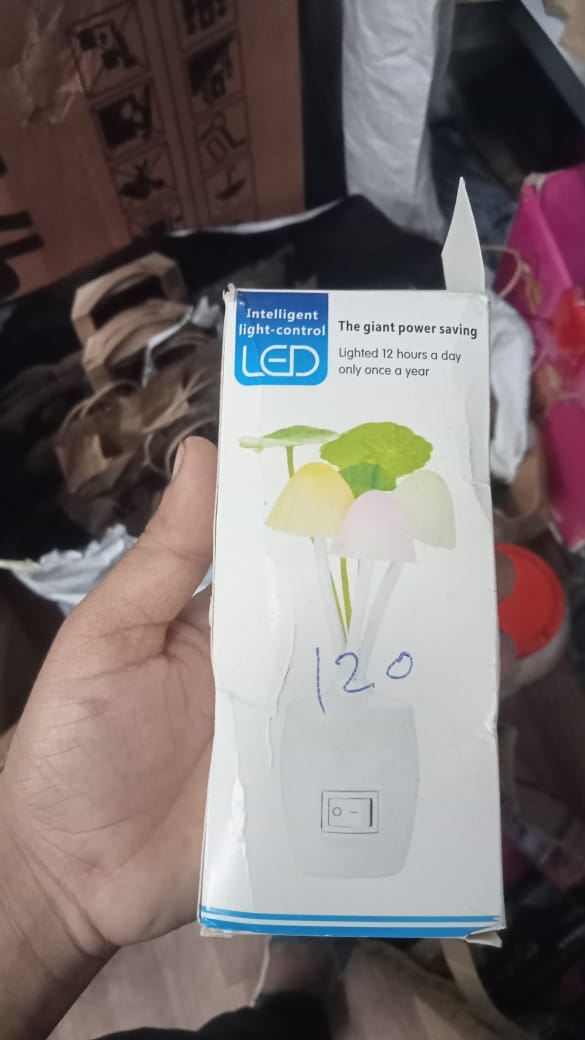 LED Mushroom Night Light
